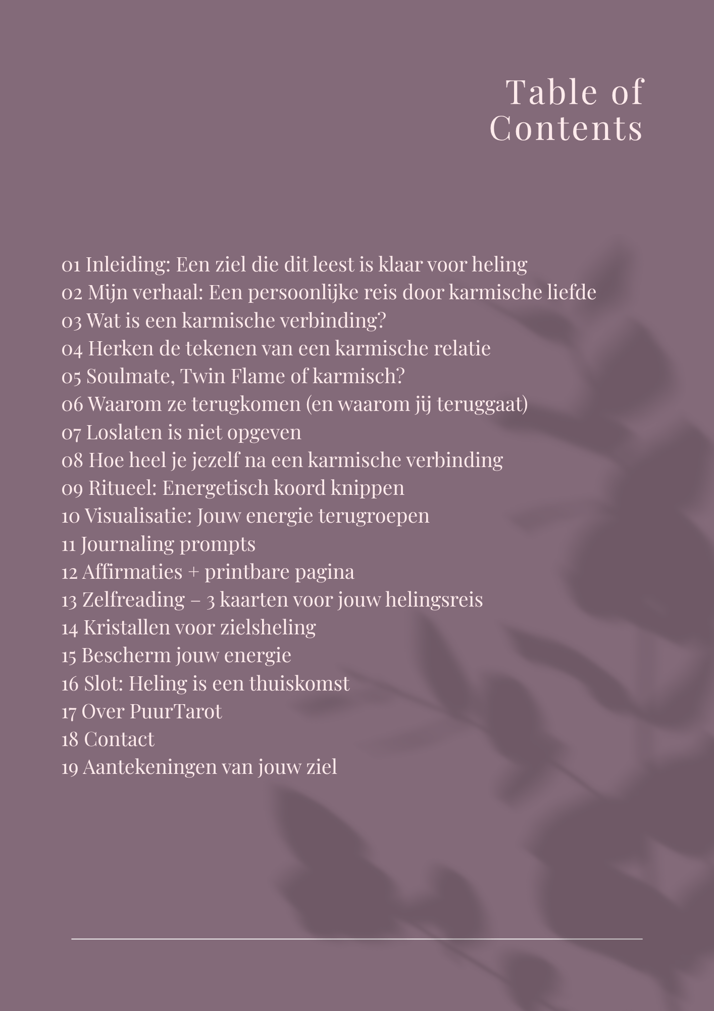 E-book 'De Karmische Verbinding' - Afbeelding 2